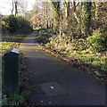 Path from Lighthouse Road to Swallow Way, Duffryn, Newport