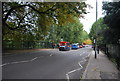 Green Lanes (A105)