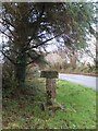 Stone guidepost near Trethinna