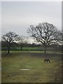 Farmland, Dunkirk Farm