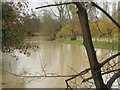 SP2965 : River Avon by Emscote Gardens, Warwick 2014, January 28, 12:31 by Robin Stott