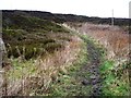 SE0038 : Path up Hare Hill Edge by Christine Johnstone