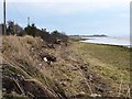 Solway shore at Dornockbrow