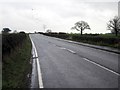 SJ5449 : The A49 near Bickley Moss by Jeff Buck