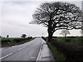 SJ5449 : The A49 near Bickley Moss by Jeff Buck