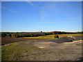 Fields near Home Farm, Papplewick (1)