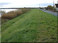 River Trent floodbank at Derrythorpe