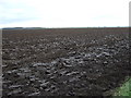 Ploughed field near Burringham