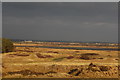 NS2938 : View from Ardeer Sandhills by Leslie Barrie
