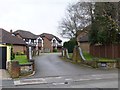 Looking into Windsor Gardens