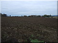 Farmland near Roxby