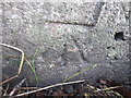 Ordnance Survey Cut Mark