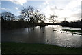 Flooded Green, Feb 1st, 2014 (1)