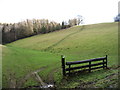 Farmland west of Withington