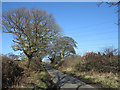 Morley Lane north of Morley Farm