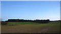 Fields and woodland near Wherstead