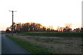 Dowsey Fen and the bank of the Long Eau