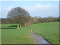 Path near Coursehorne Farm