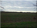 Crop field off Holmes Lane