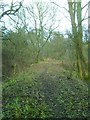 Old railway track near Swainby