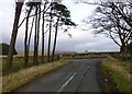 Road junction near Biddlestone Edge