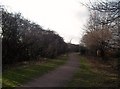 SK4035 : Path and Line of Former Canal near Spondon by Jonathan Clitheroe