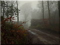 Footpath from The Buckholt