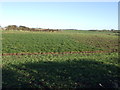 Farmland near Blakeley Hill