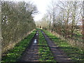 Footpath And Track