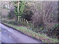 Footpath through Dalditch plantation