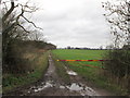 Bridleway towards Castle Garden