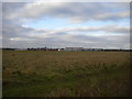 Hucknall Aerodrome from Bulwell Hall Park