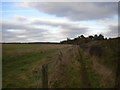 Footpath alongside Hucknall Aerodrome