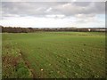 Looking east across arable land near Whitelee