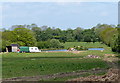 Small lake near Wildberry Farm