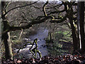 River Etherow