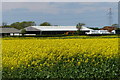 Oil seed rape crop at Wolds Farm