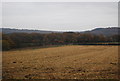 West Sussex farmland