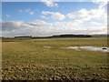 NU1129 : Grassland west of Tollgate Plantation by Graham Robson
