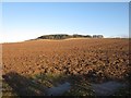 NU1030 : Ploughed field at Warenton by Graham Robson