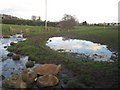 NU1033 : Recently created pond beside Belford Burn by Graham Robson