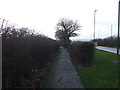 Path beside Kirkleatham Lane (A1042)