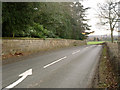 Gotham Road, near Kingston Hall Lodge