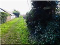 Footpath going south from Highcotts Lane