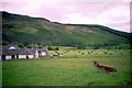 Glenshee - 1991