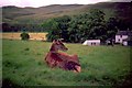 Glenshee - 1991