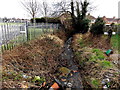 Stream misused as a rubbish dump, Stanton Road, Bristol