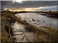 The River Cree near Roadfoot