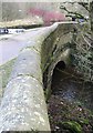 Aqueduct over River Tame