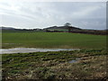 NZ6117 : Crop field near Tocketts Bridge by JThomas